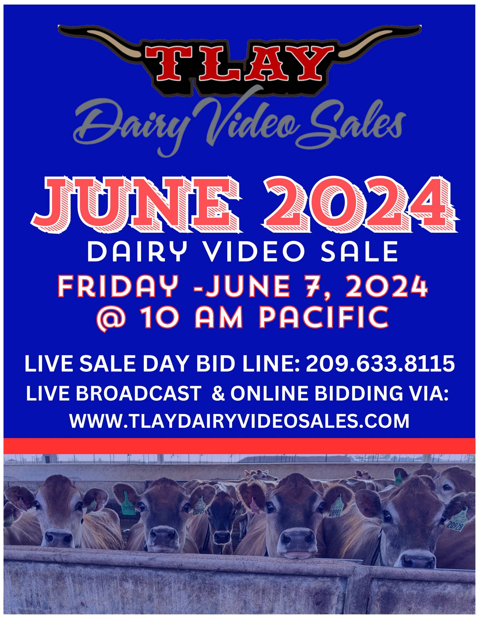 JUNE 2024 DVS CATALOG by TURLOCK LIVESTOCK AUCTION YARD Issuu