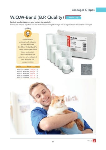 Millpledge Veterinary 荷兰 灯饰目录 第 17 页