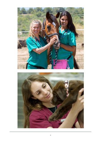 Millpledge Veterinary 荷兰 灯饰目录 第 4 页