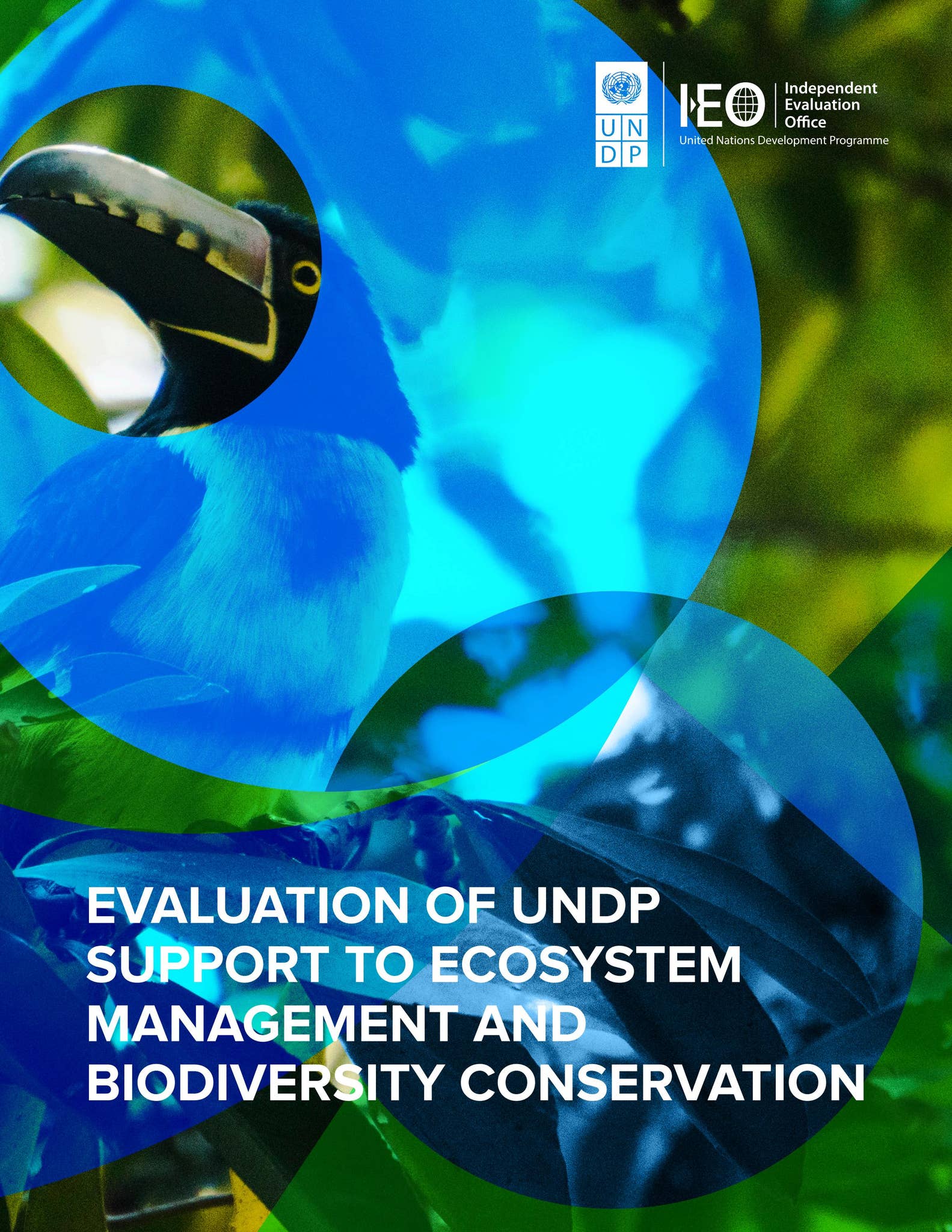 Evaluation of UNDP Support to Ecosystem Management and Biodiversity ...