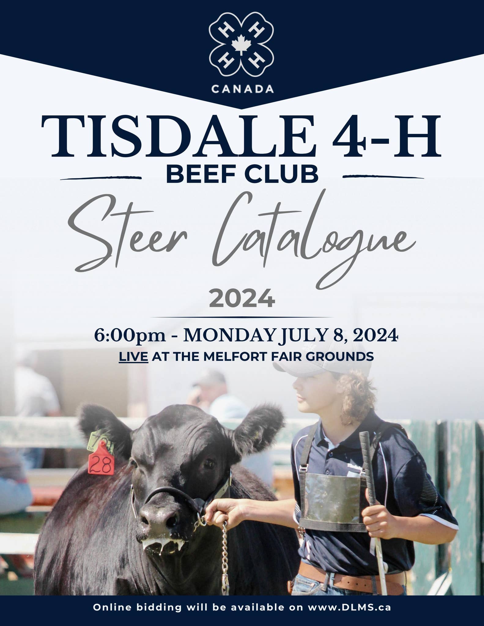 2024 Tisdale 4H Beef Club Steer Catalogue by Tisdale 4H Beef Club Issuu