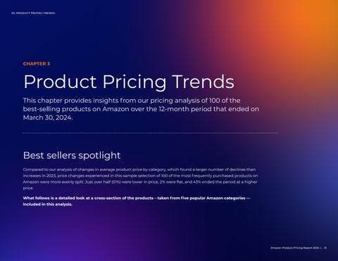 Amazon Product Pricing Report 2024 第 13 页
