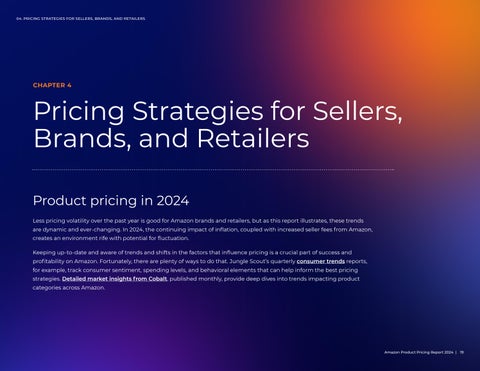 Amazon Product Pricing Report 2024 第 19 页