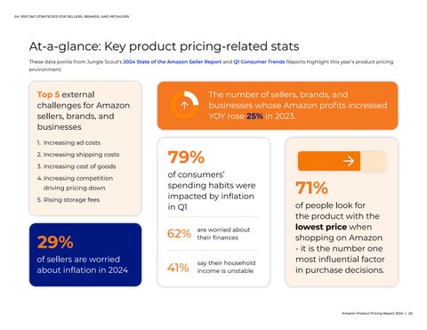 Amazon Product Pricing Report 2024 第 20 页