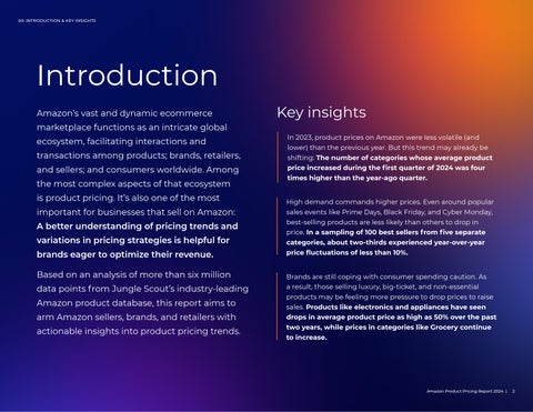 Amazon Product Pricing Report 2024 第 2 页