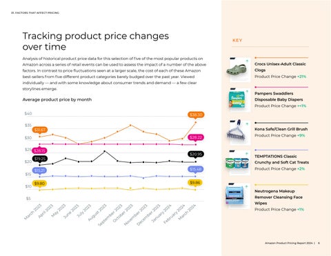 Amazon Product Pricing Report 2024 第 6 页