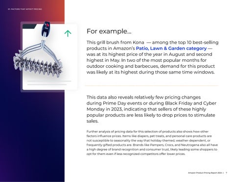 Amazon Product Pricing Report 2024 第 7 页