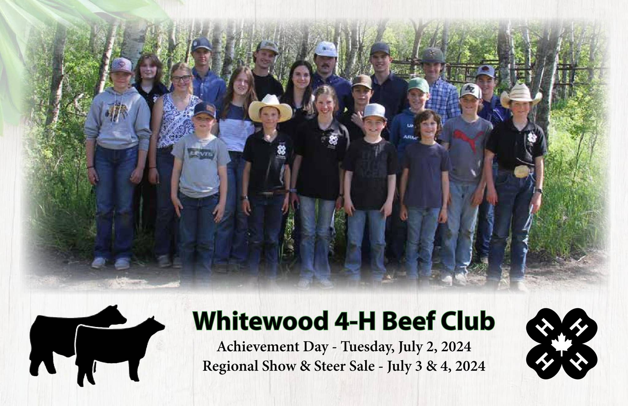 Whitewood 4H Beef Steer Catalog 2024 by DLMSCattlevids.ca Issuu