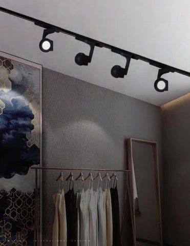 国际 Ecoline Downlights 第 18 页
