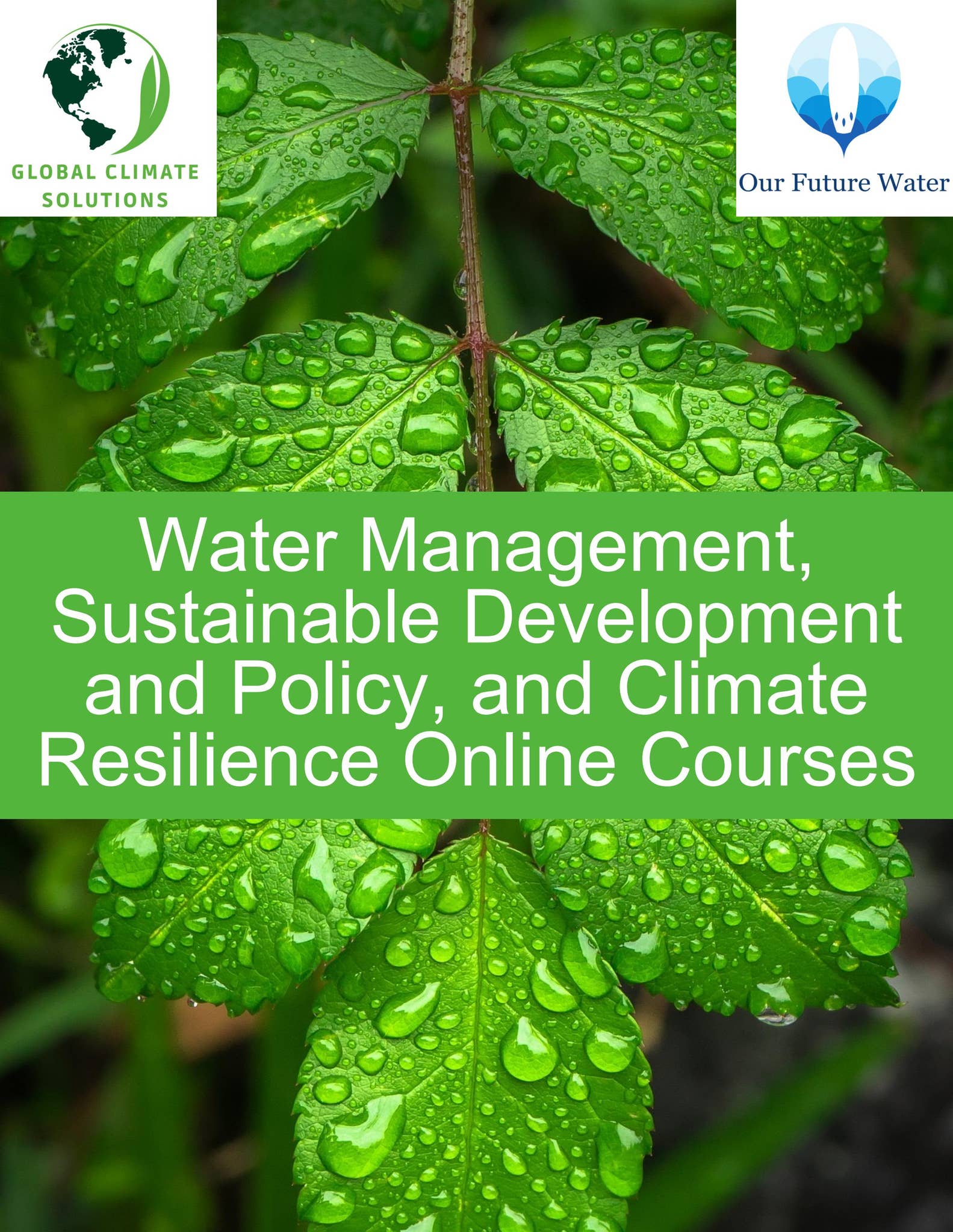 Water Management, Sustainable Development and Policy, and Climate ...