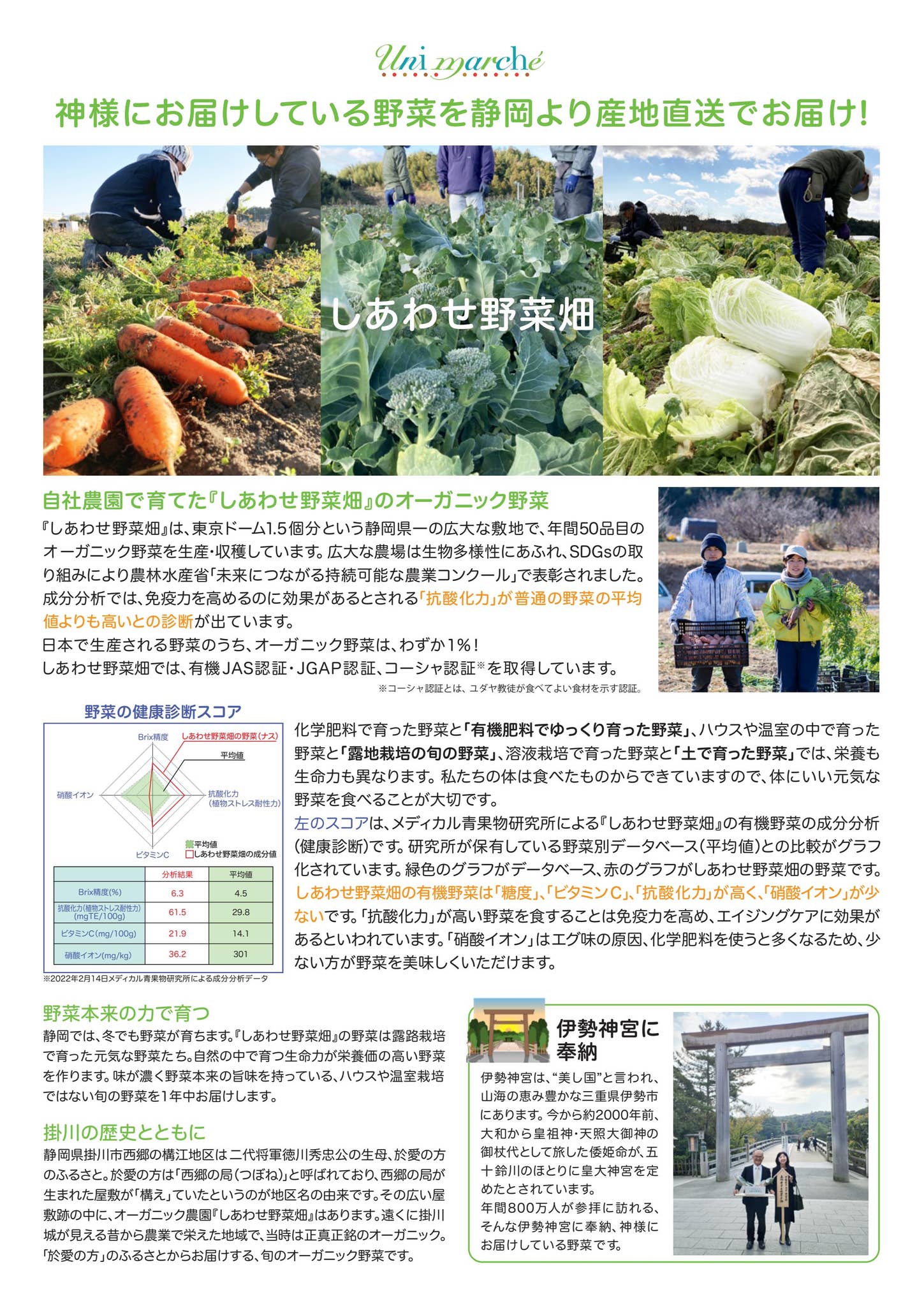 新野菜チラシ2024 by unimarche - Issuu