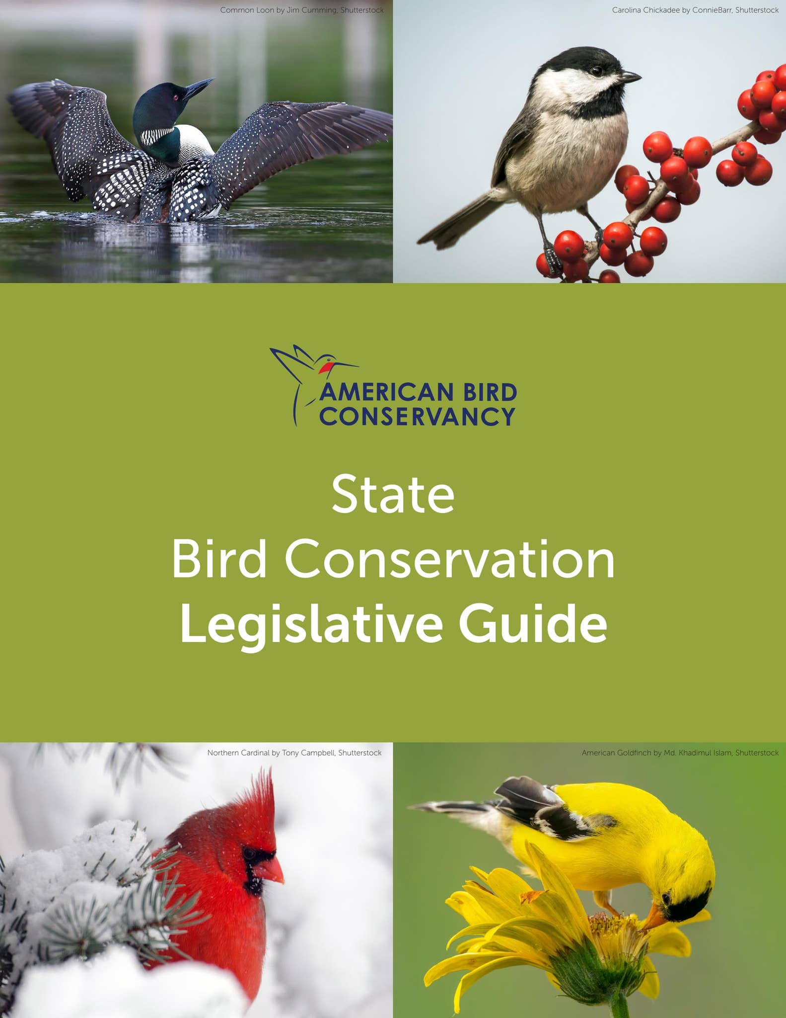 Affordable Home State Bird Conservation preview