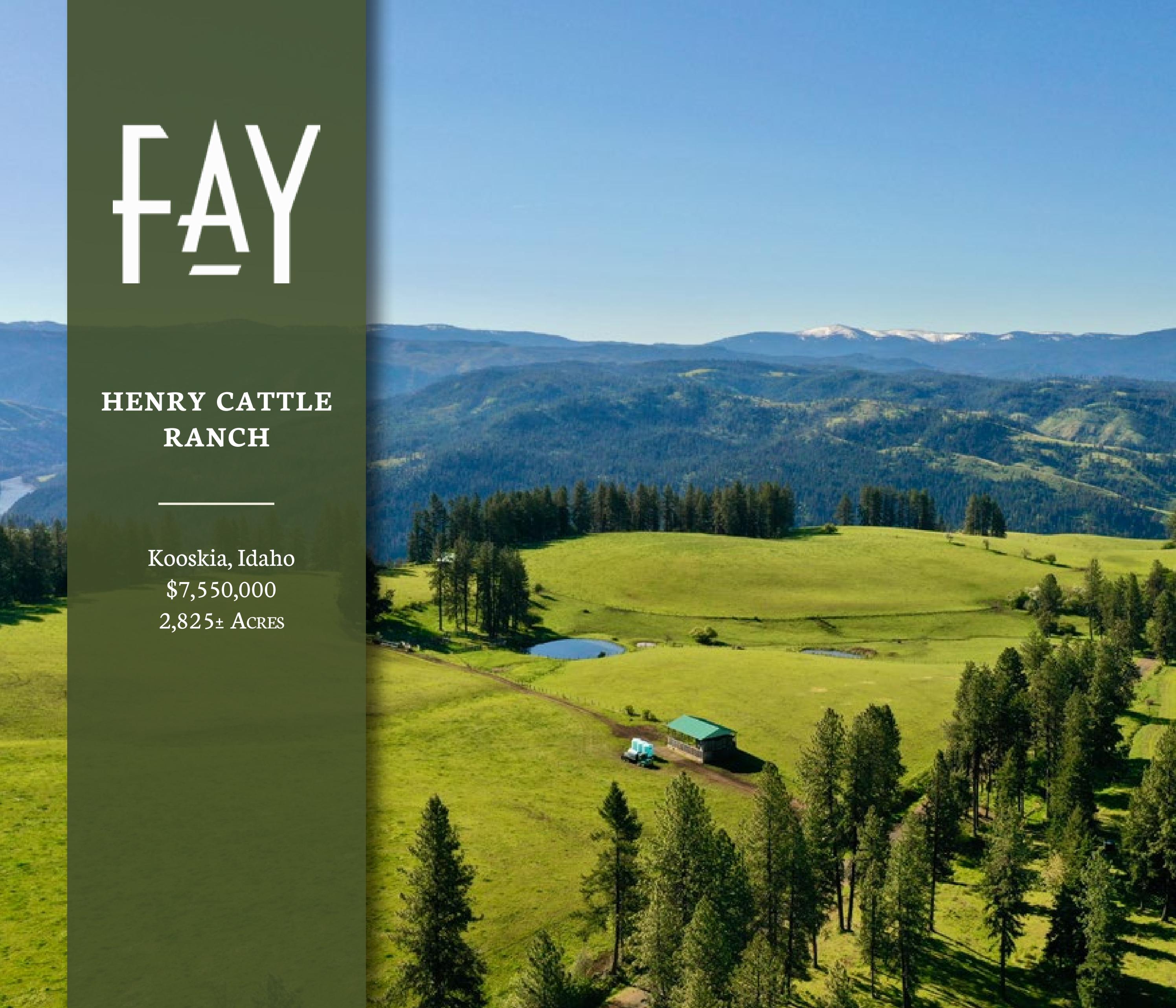 Henry Cattle Ranch | Fay Ranches by Fay Ranches - Issuu