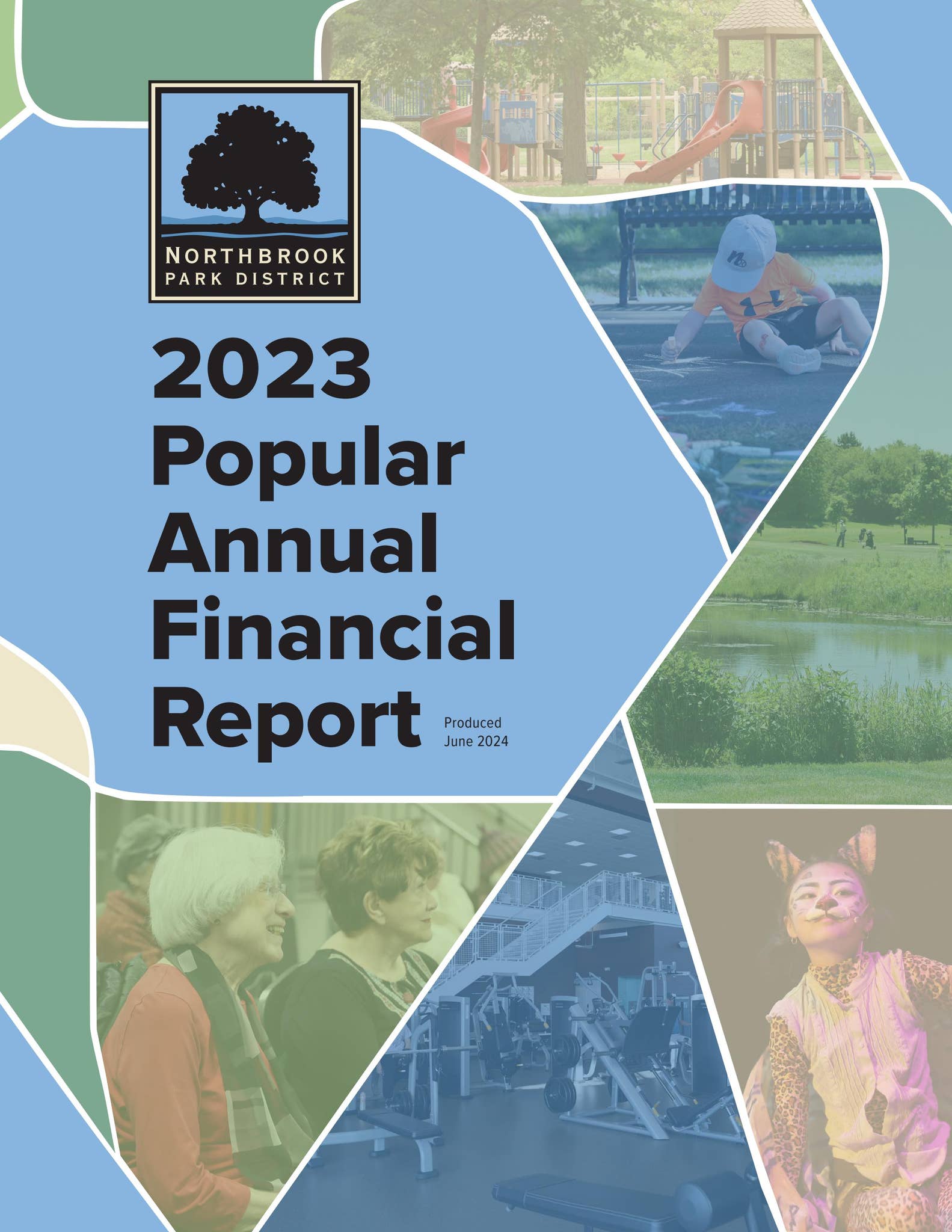 2023 Popular Annual Financial Report by Northbrook Park District - Issuu