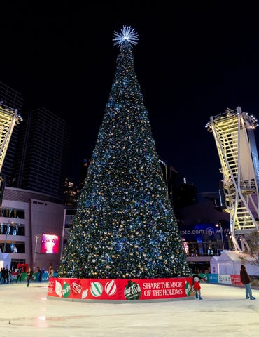 Christmas Essentials 2024 第 4 页