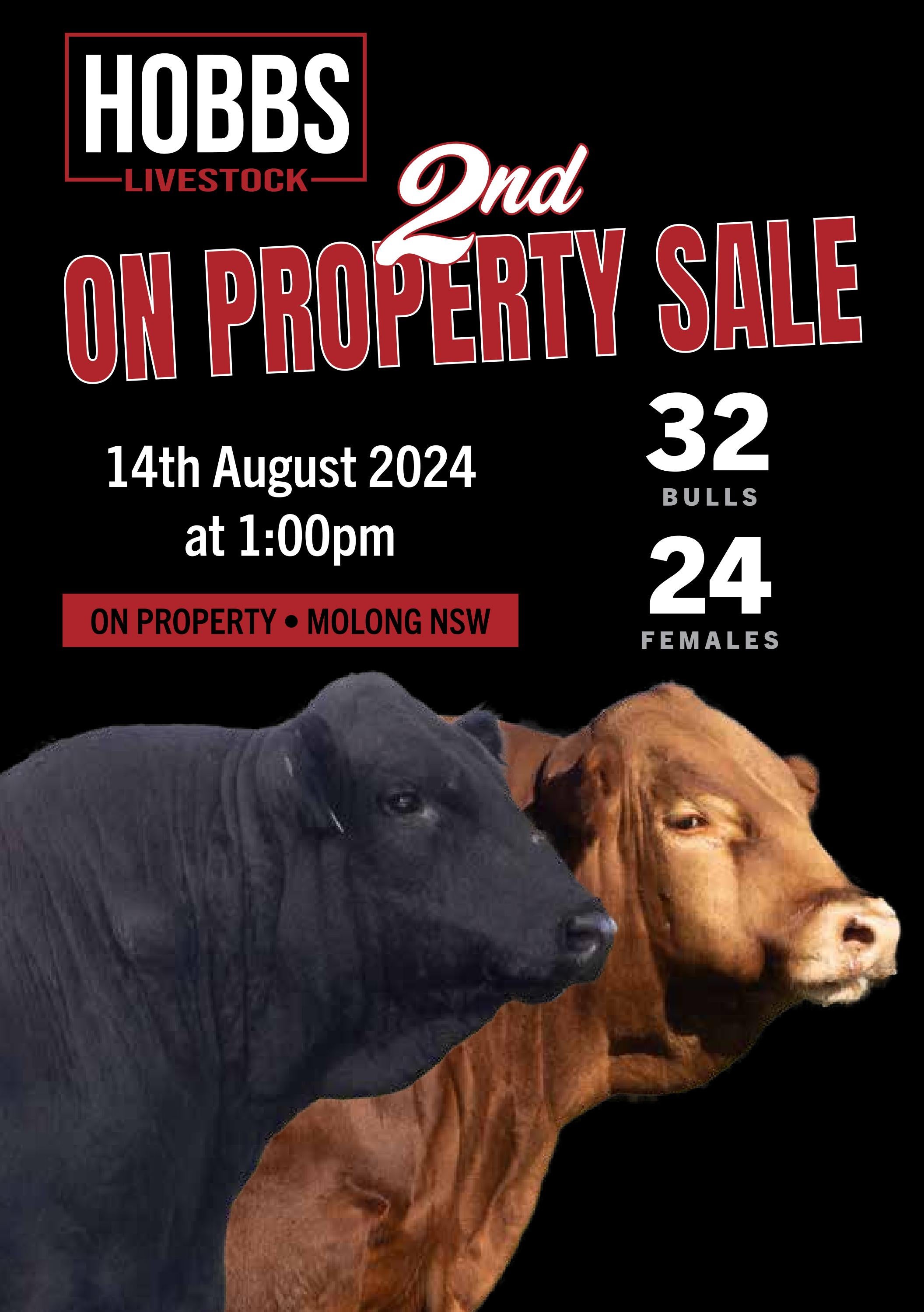 Hobbs Livestock Catalogue 2024 by Hobbslivestock Issuu