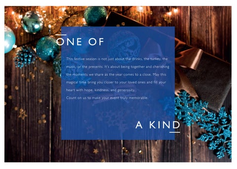 Festive 家具手册 2024 Radisson Blu 酒店 Bristol 第 2 页