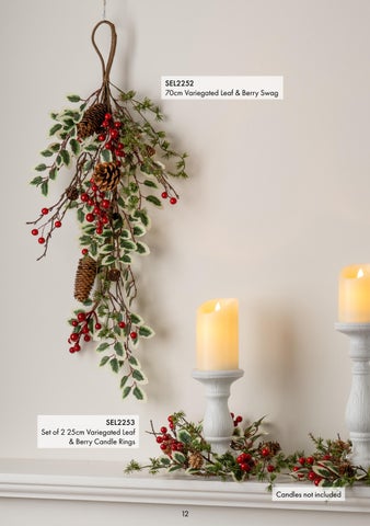 SEL Christmas 2024 第 12 页