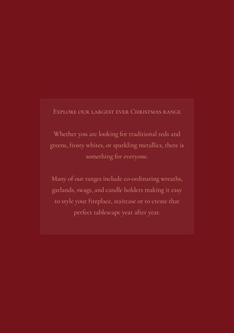 SEL Christmas 2024 第 3 页