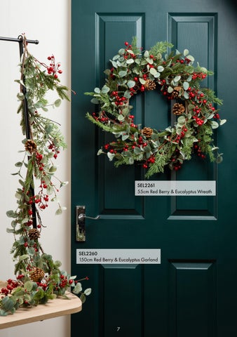 SEL Christmas 2024 第 7 页