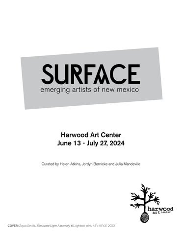 SURFACE: Emerging Artists of NM 2024 第 2 页