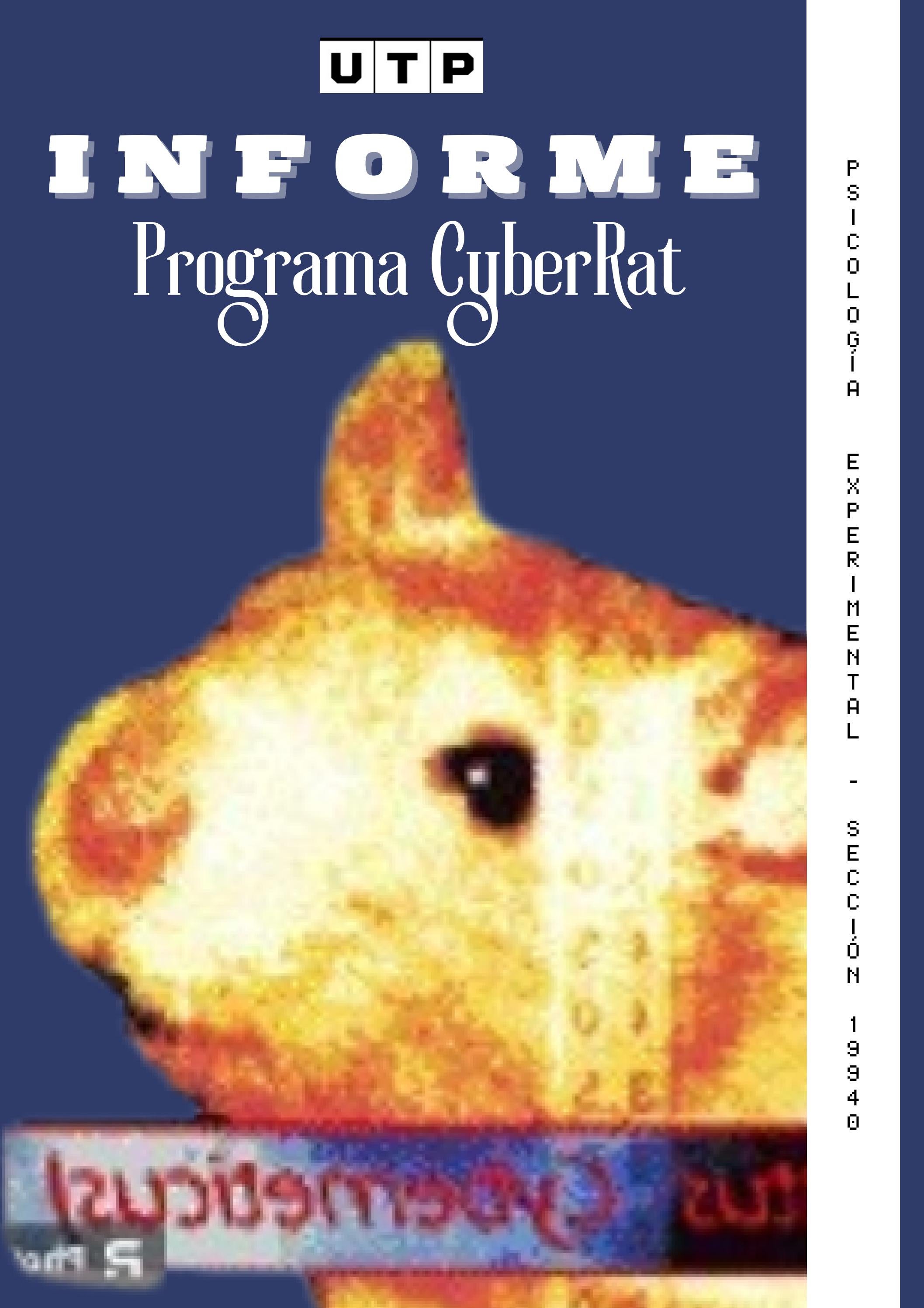 INFORME DEL PROGRAMA DE CYBERAT - ESTRELLA RICALDI GÓMEZ by Estrella ...