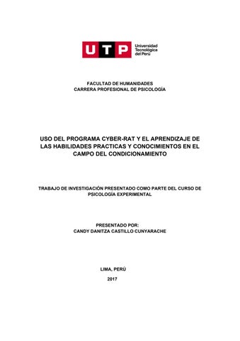 infome del cyberat by Alondra Pastor - Issuu