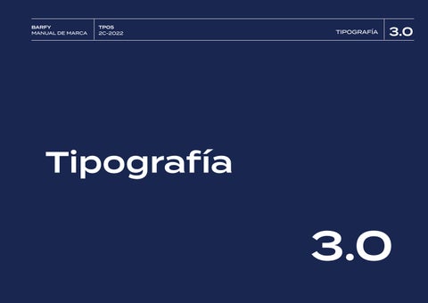 Lucia Gonzalez 灯饰目录 · BARFY - MANUAL 德文 MARCA 第 13 页