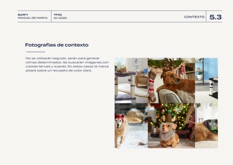 Lucia Gonzalez 灯饰目录 · BARFY - MANUAL 德文 MARCA 第 22 页