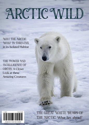Arctic Wild - The Great White Bears of the Arctic