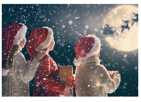 Radisson Blu 酒店 , Liverpool - Festive Event 家具手册 2024 第 15 页