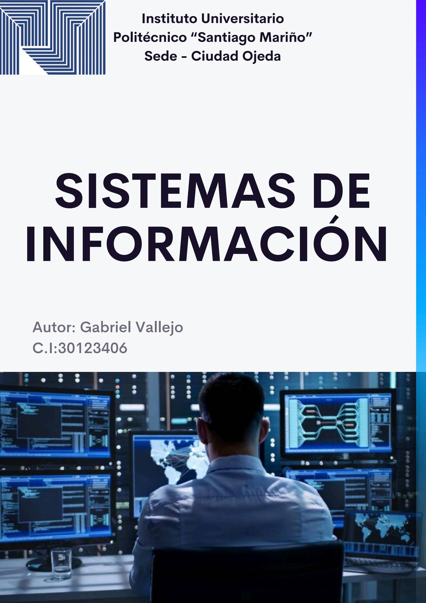 Sistemas de información by Gabriel Vallejo - Issuu