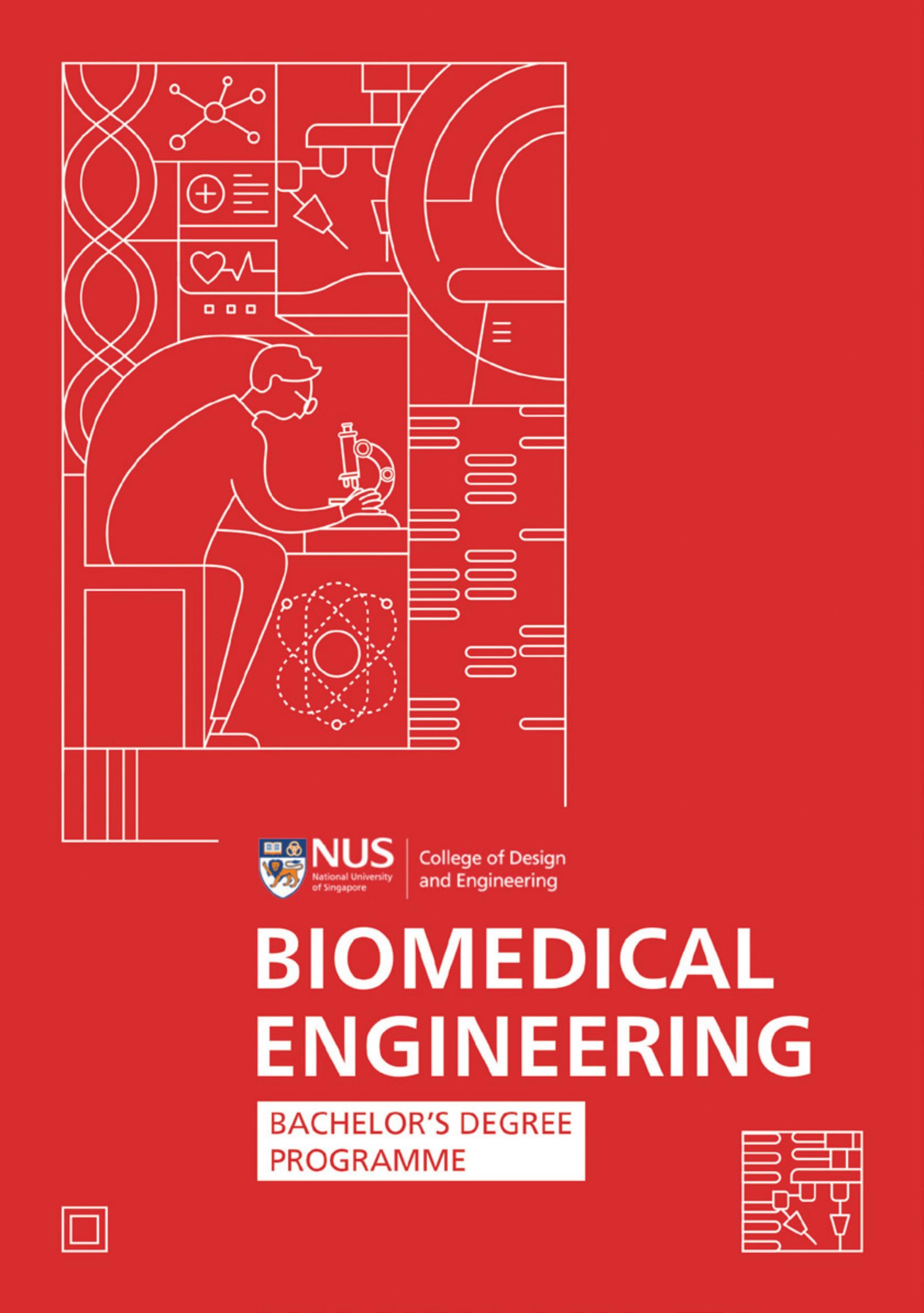 NUS BIOMEDICAL ENGINEERING ENTRY REQUIREMENTS visual data 2
