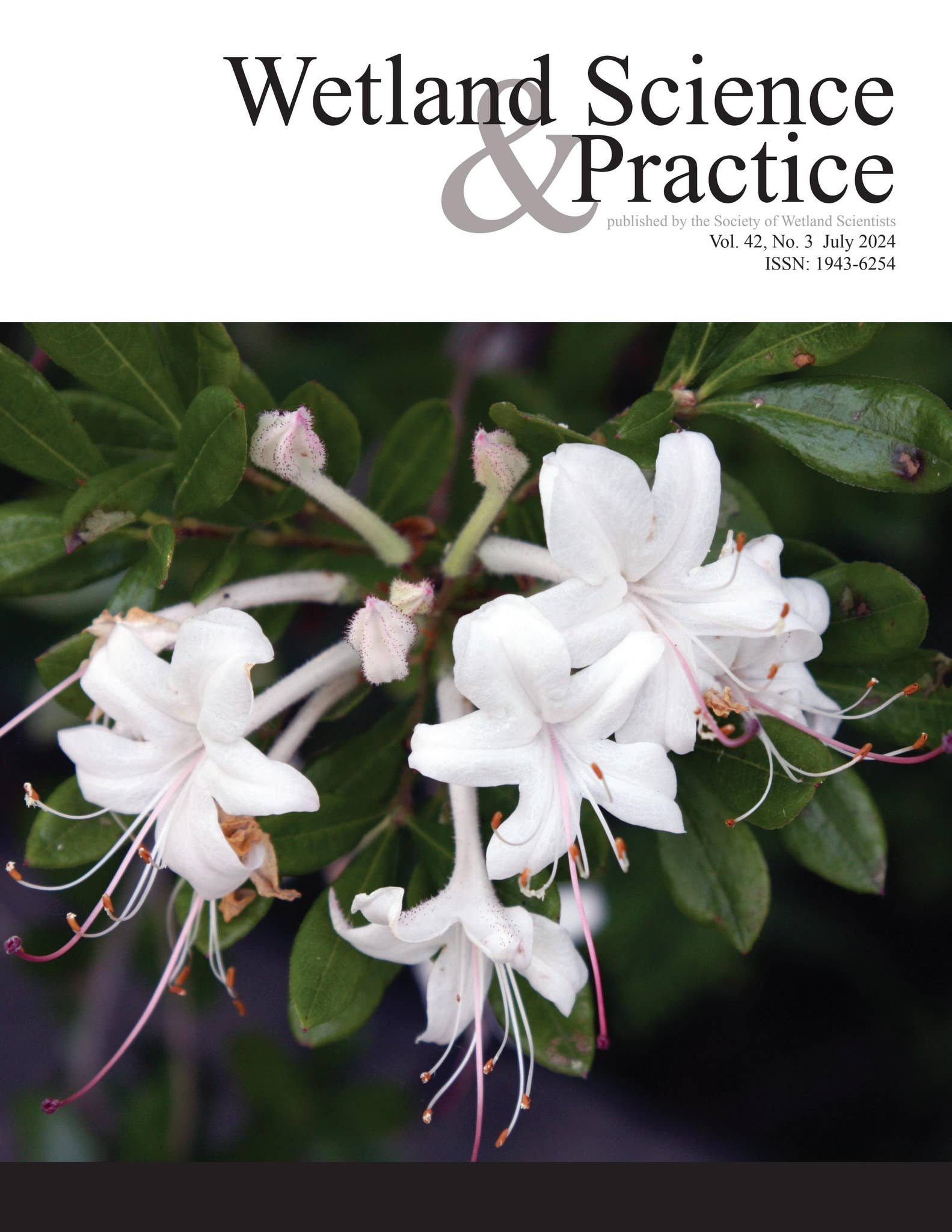 July 2024 Wetland Science & Practice by Society of Wetland Scientists -  Issuu
