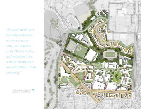 San Francisco State University 景观 Framework + Forest Management Plan 第 11 页
