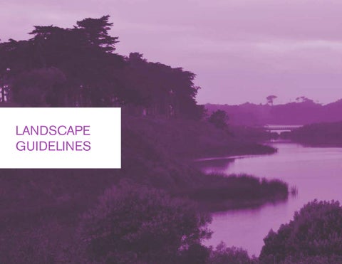 San Francisco State University 景观 Framework + Forest Management Plan 第 14 页