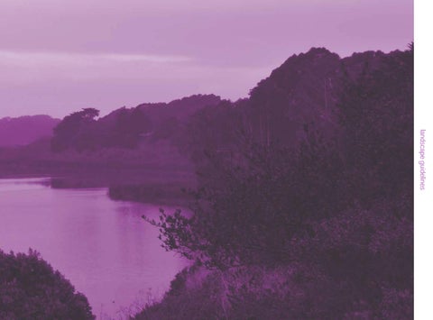 San Francisco State University 景观 Framework + Forest Management Plan 第 15 页