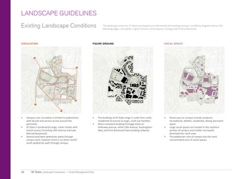 San Francisco State University 景观 Framework + Forest Management Plan 第 16 页