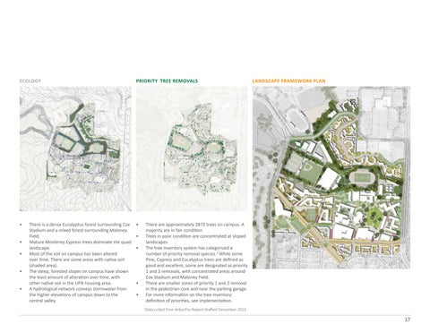San Francisco State University 景观 Framework + Forest Management Plan 第 17 页