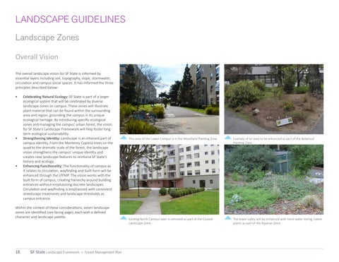 San Francisco State University 景观 Framework + Forest Management Plan 第 18 页