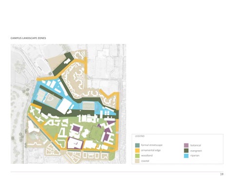 San Francisco State University 景观 Framework + Forest Management Plan 第 19 页