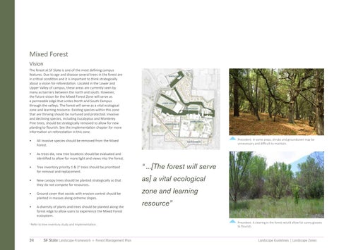 San Francisco State University 景观 Framework + Forest Management Plan 第 24 页