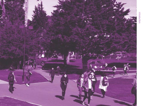 San Francisco State University 景观 Framework + Forest Management Plan 第 7 页