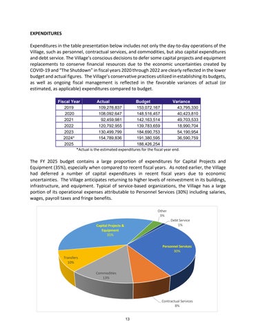 Tinley Park Annual Budget FY 2025 第 13 页