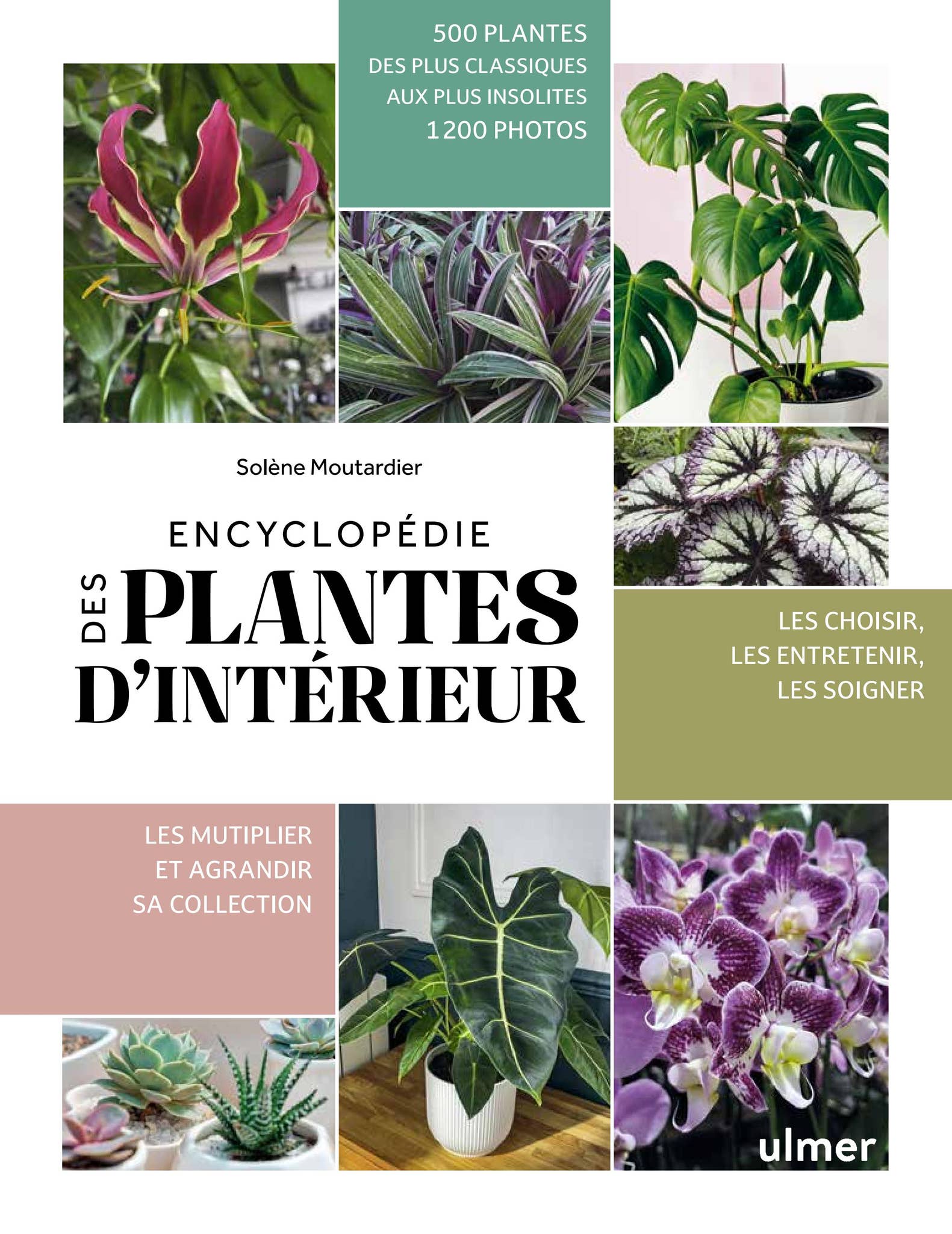 Encyclopdie des plantes d'intrieur by ditions Ulmer - Issuu