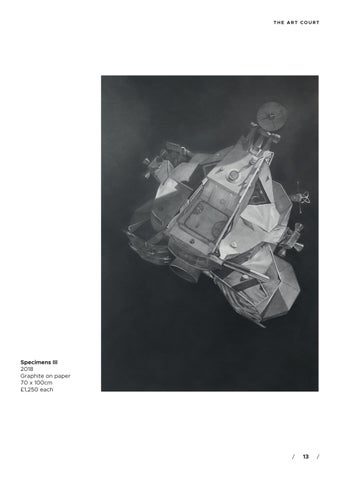 SEEING BEYOND BY HONDARTZA FRAGA 第 13 页