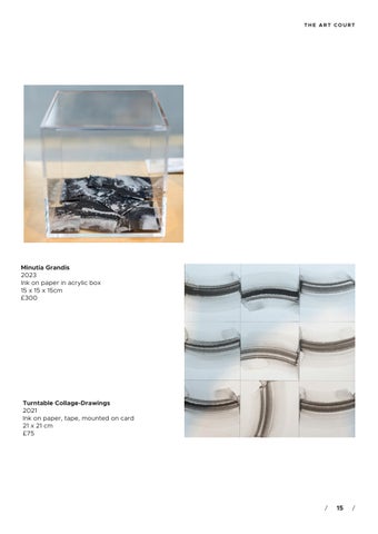 SEEING BEYOND BY HONDARTZA FRAGA 第 15 页