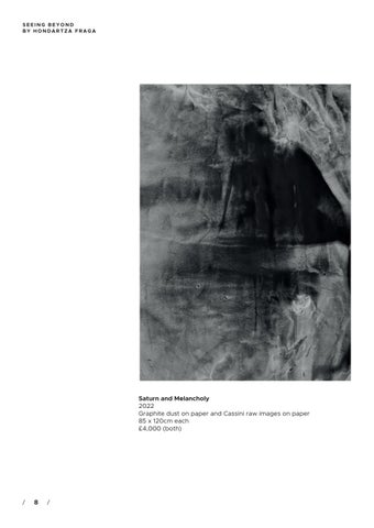 SEEING BEYOND BY HONDARTZA FRAGA 第 8 页