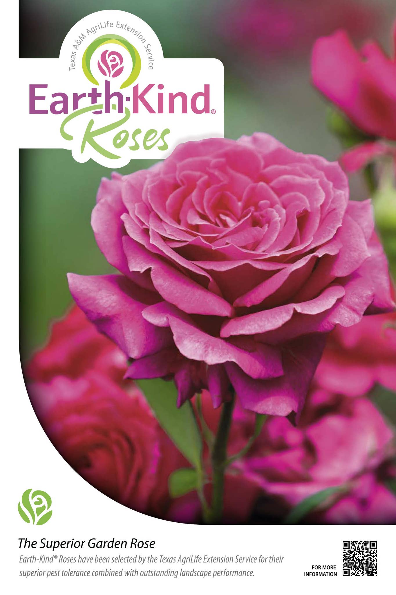 Earth Kind Poster by Texas Nursery & Landscape Association - Issuu