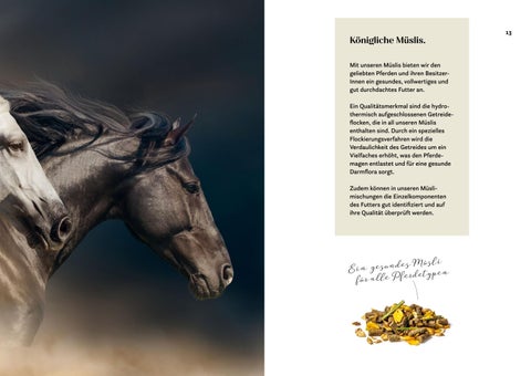 Königshofer Futtermittel - Pferdefutter 第 13 页